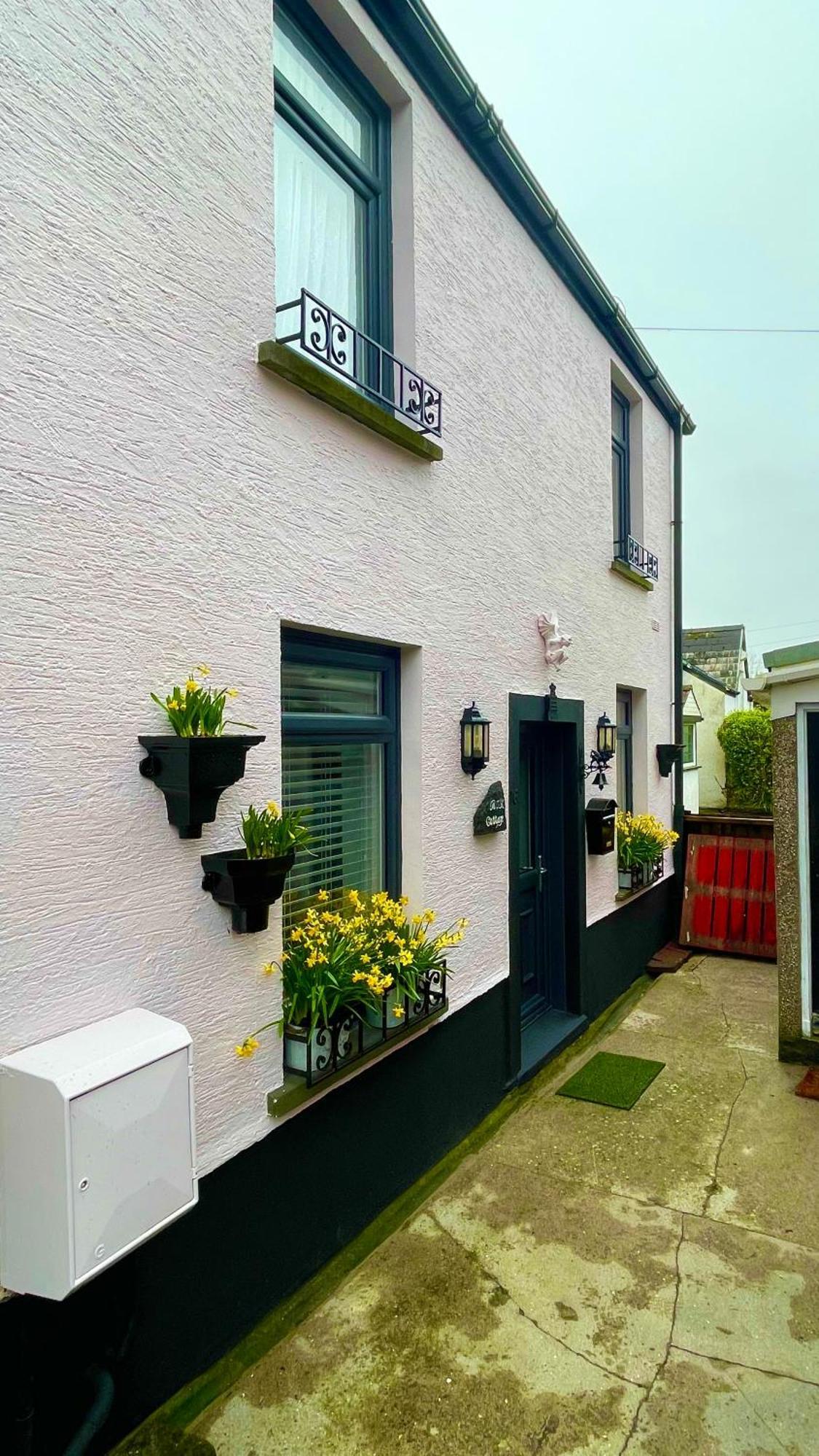 Beautiful Mumbles/Gower Cottage Swansea Eksteriør bilde